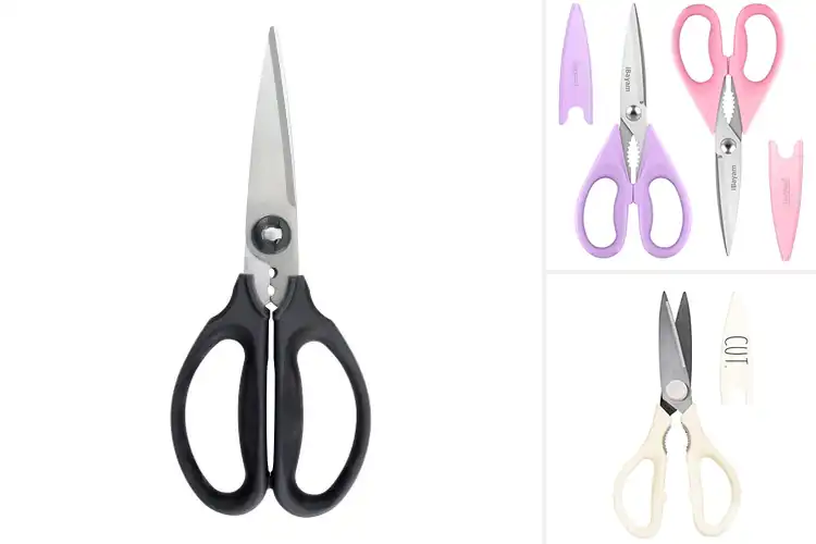Detailed view of 10 Best Brunch Shears for Effortless Kitchen Prep