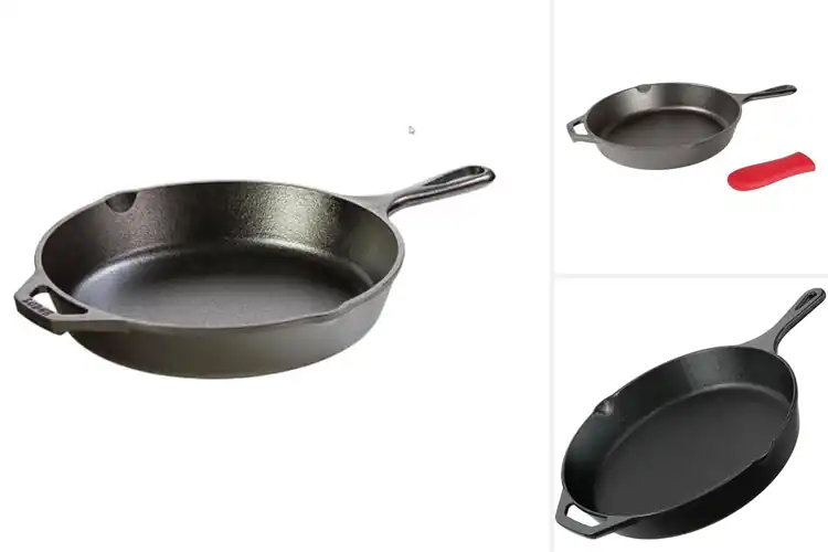 Detailed view of Best Campfire Cooking Skillets