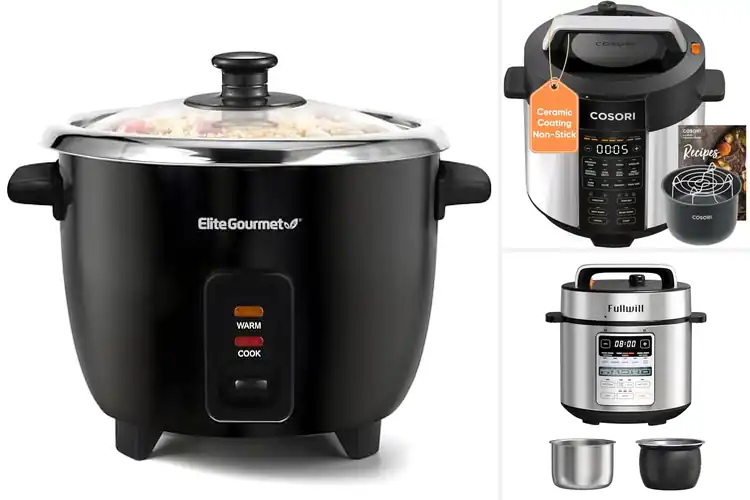 Detailed view of Best Easy Clean Multi Cookers