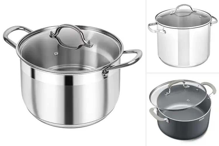 Detailed view of Best Health Conscious Stock Pots