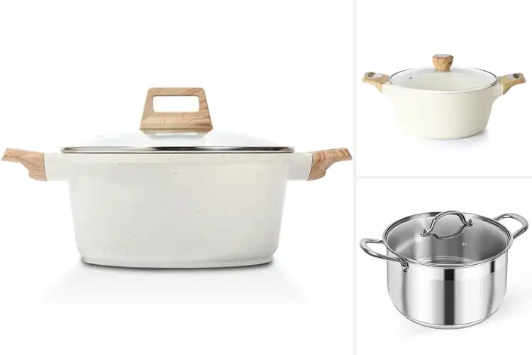 Detailed view of Best Healthy Soup Pots