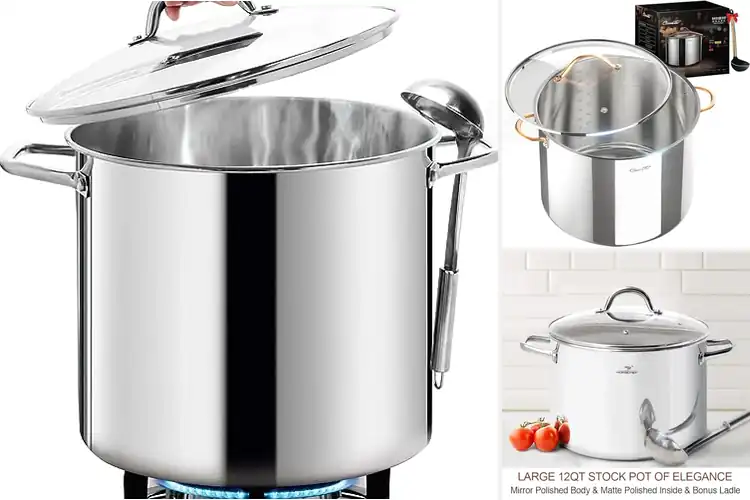 Detailed view of Best Healthy Stockpots