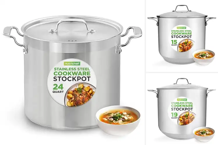 Detailed view of Best Induction Compatible Stock Pots