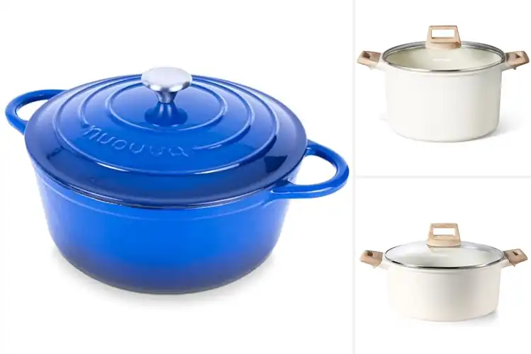Detailed view of Best Large Casserole Pots