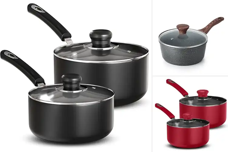 Detailed view of 10 Best Multi-purpose Sauce Pots for Easy, Fast Cooking