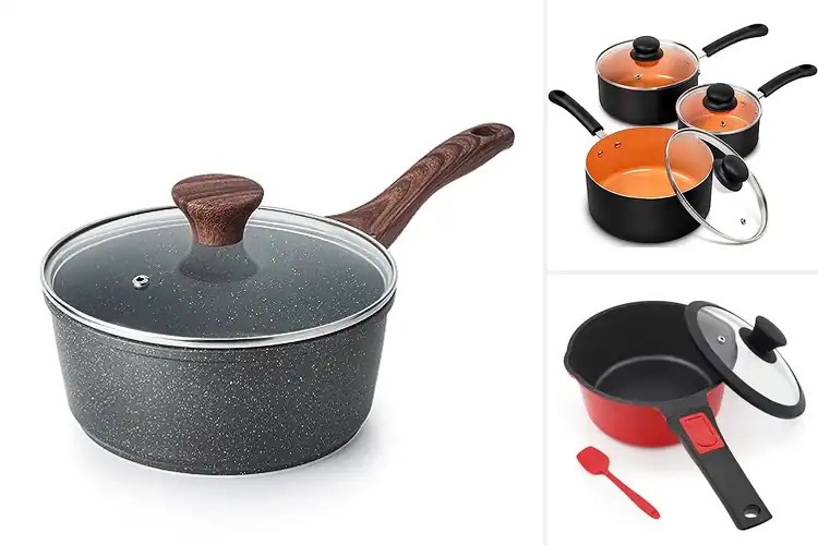 Detailed view of 10 Best Multi-purpose Saucepans