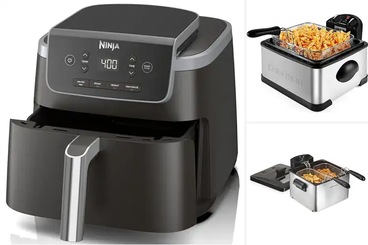 Detailed view of 10 Best Multi-Use Fryers for Quick Meals