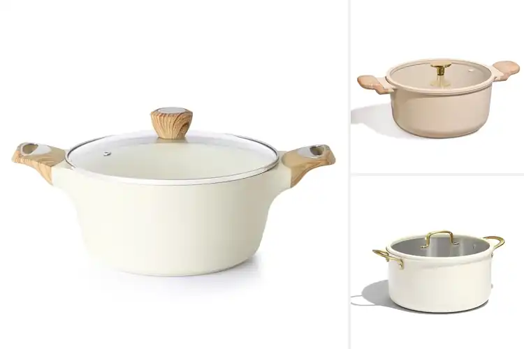 Detailed view of Best Non-Toxic Ceramic Stockpots