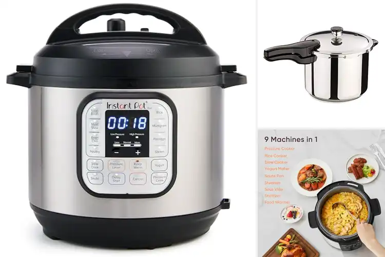 Detailed view of Best Pressure Cookers