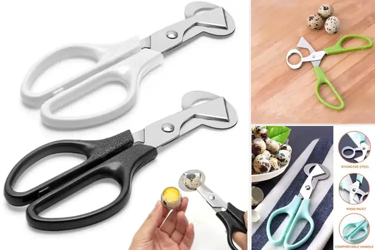 Detailed view of 10 Best Quail Egg Cutters: Effortless Cracking Made Easy