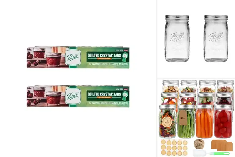 Detailed view of 10 Best Quarter Size Jars for Perfect Pickles & Jellies