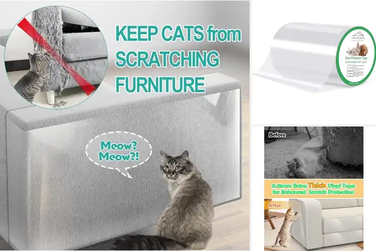 Detailed view of Best Scratch Guards