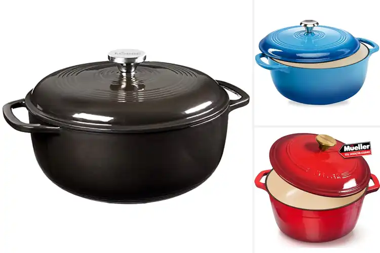 Detailed view of 10 Best Six-Quart Dutch Ovens: Top Picks