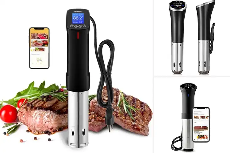 Detailed view of Best Sous Vide Cookers