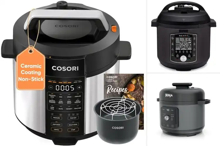 Detailed view of Best Sous Vide Pressure Cookers