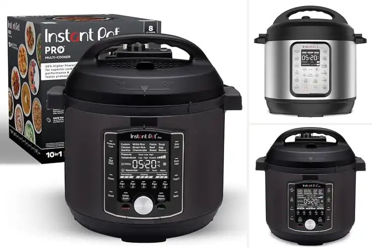 Detailed view of Best Sterilize Cookers