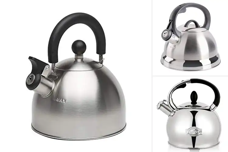 Detailed view of Best Stove-Top Whistling Kettles