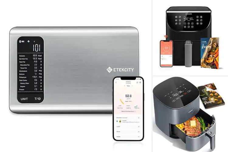 Detailed view of Best VeSync App Recipes: 7 Easy, Healthy Meals to Try Today