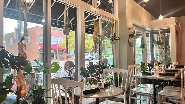 Ivy Cafe